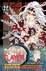 DEMON SLAYER - KIMETSU NO YAIBA n. 22