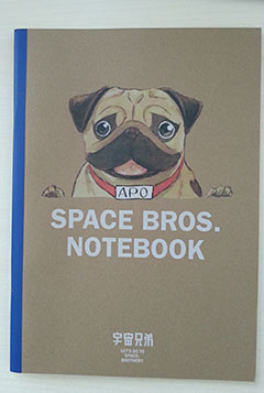 APO Notebook